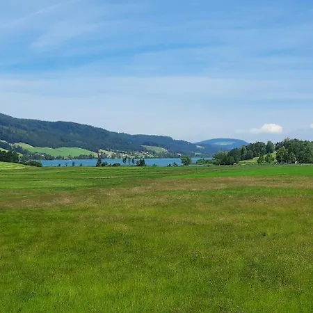 Zum Irrsee 79 Mondseeland Appartement