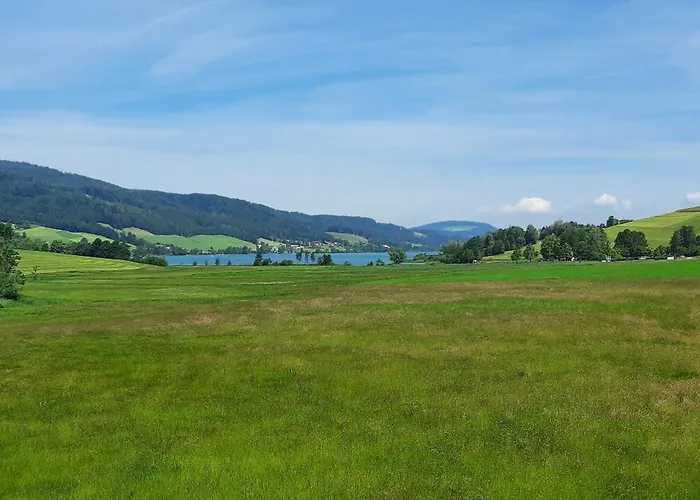 Zum Irrsee 79 Mondseeland Lejlighed